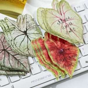 30pcs/pack Caladium Sticky Notes